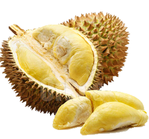 Manfaat Buah Durian